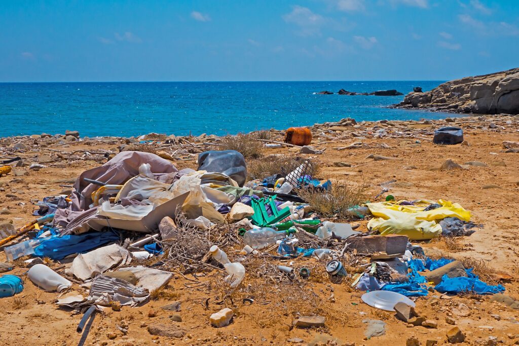 Microplastiche in mare: a rischio la vita dei piccoli organismi marini