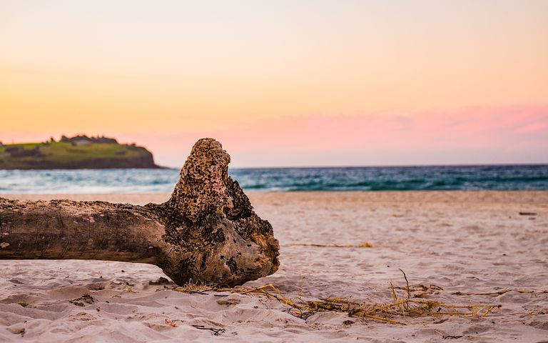 Bellezza e fragilità del mare: il video