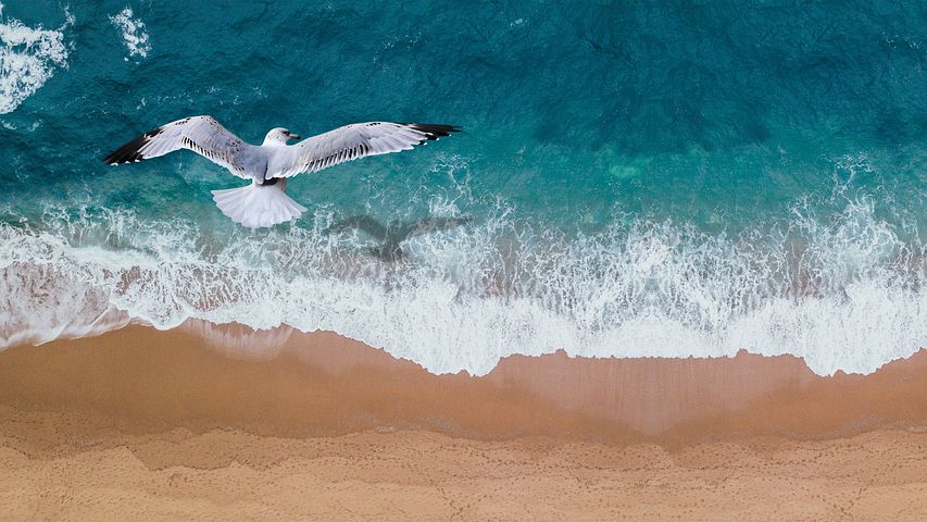 La Giornata del Mare: ecco cosa serve al nostro Paese