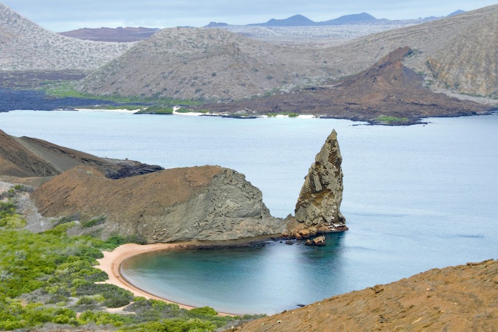 Sea Shepherd contro la flotta cinese nei mari delle Galapagos