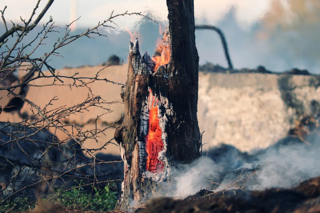 Siccità e cambiamenti climatici: come prevenire gli incendi e curare i territori, ripartendo dalla Sardegna