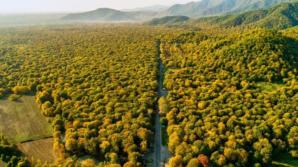 Carta della Natura: il nuovo progetto Ispra per la gestione del territorio