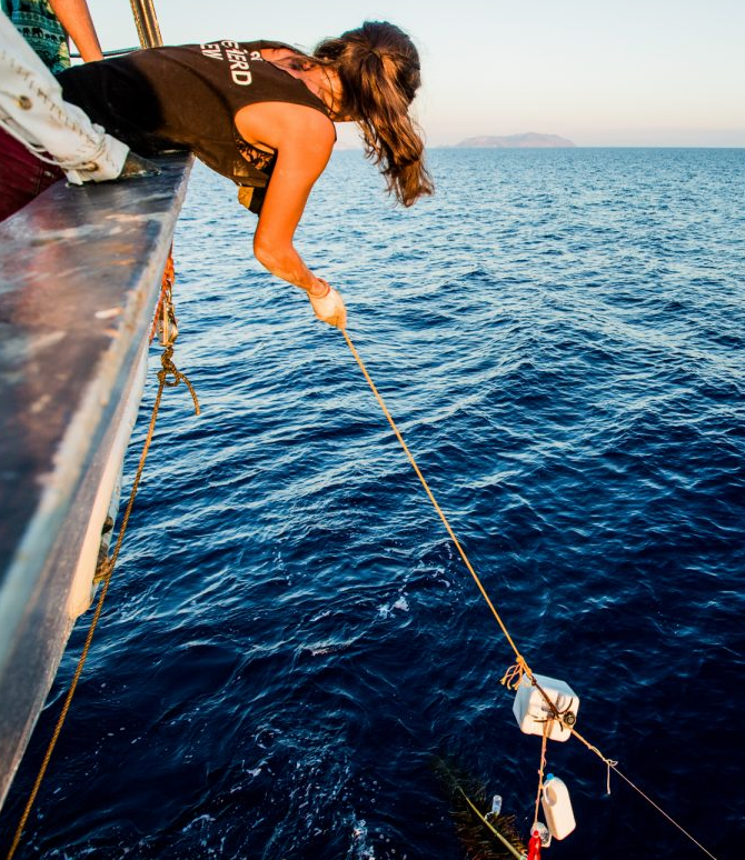 Nel Mediterraneo, oltre 20.000 km di fili di plastica da pesca abbandonati