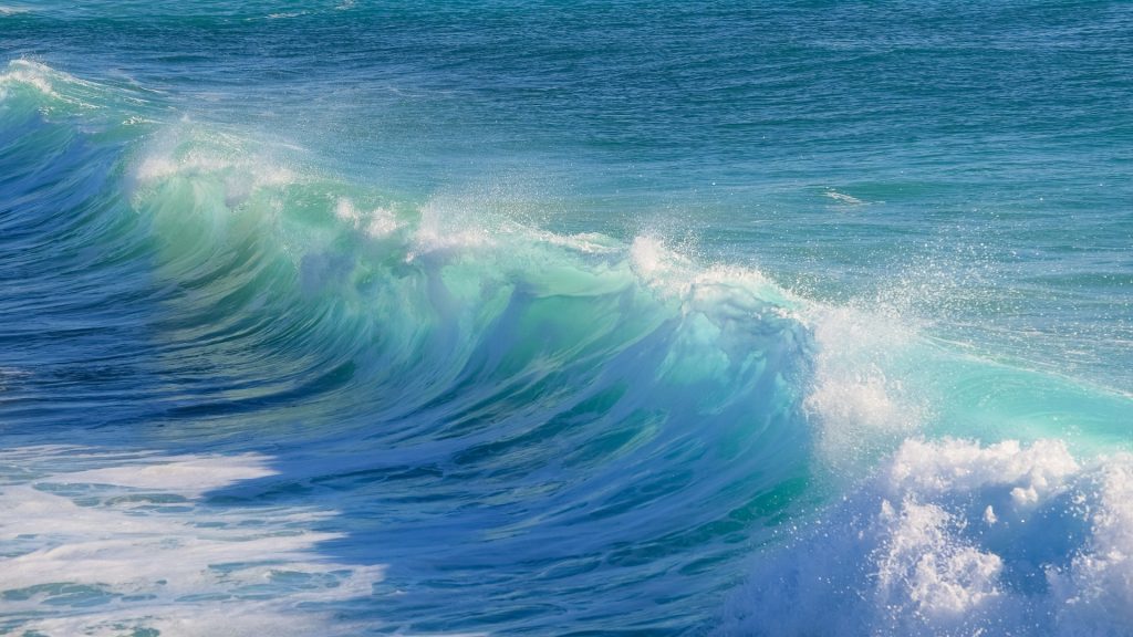 Il mare è famoso: un brano musicale dedicato al grande pianeta blu