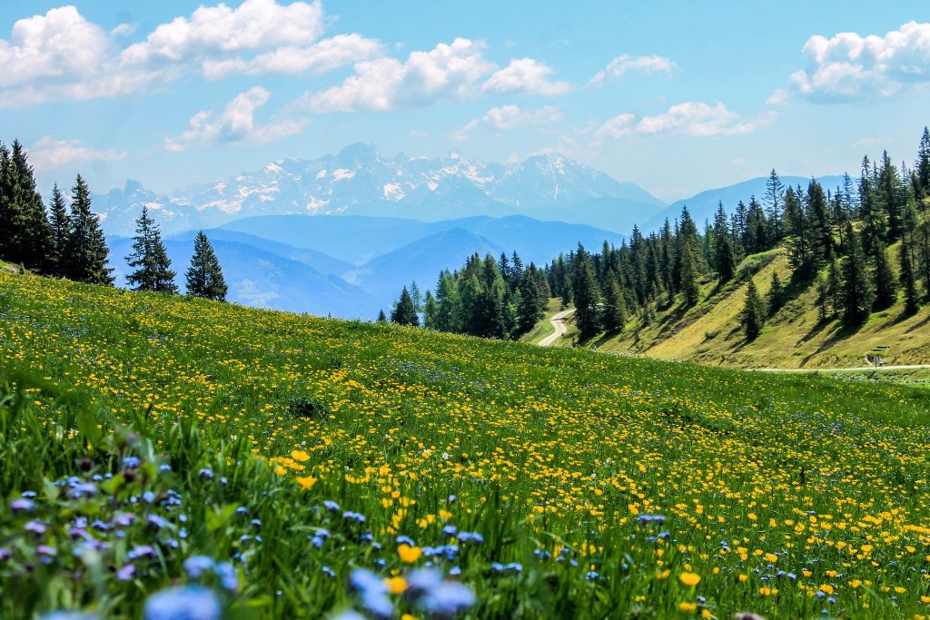 Al via il progetto Ispra “Carta della Natura”: 15 le regioni mappate per conoscere e pianificare interventi sul territorio