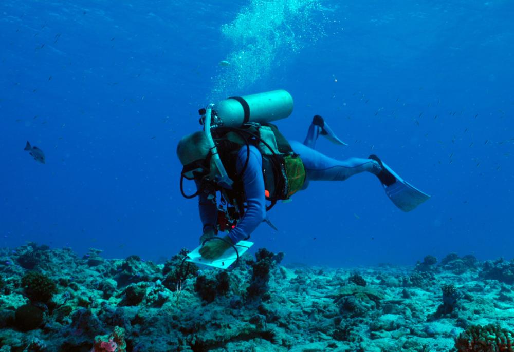 Una nuova barriera corallina scoperta vicino a Tahiti da una missione dell’ UNESCO